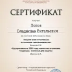 Сертификат 24.01.2024 - Попов Владислав Витальевич