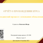 Гражданский процесс основания обжалования - Николаев Игорь Юрьевич