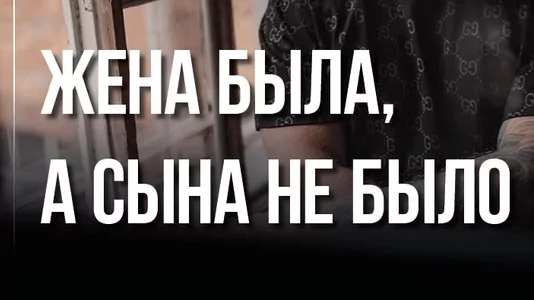 Адвокат Чекстер Артем Викторович объясняет: Жена была, а сына не было!