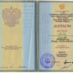 Диплом ОмА - Тайченачев Петр Александрович