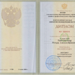 Страницы из Диплом ВЗФЭИ - Тайченачев Петр Александрович