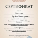 Сертификат 2 - Чекстер Артем Викторович
