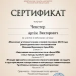 Сертификат 5 - Чекстер Артем Викторович