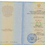 Диплом Иванова И.Ю. - Иванова Ирина Юрьевна