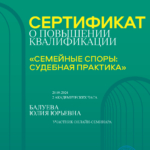 Семейные споры - Балуева Юлия Юрьевна
