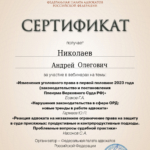 11.10.2023 - Николаев Андрей Олегович