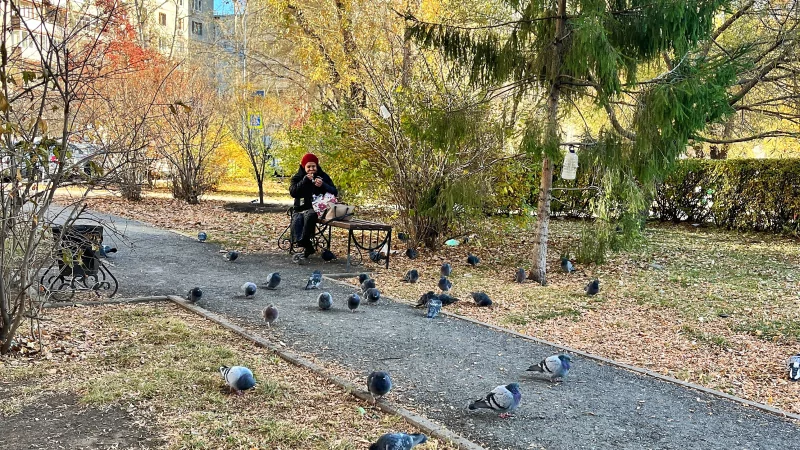 Юрист Мальцев Константин Александрович объясняет: Можно ли взыскать алименты с самозанятого?