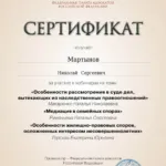 Сертификат 3 - Мартынов Николай Сергеевич