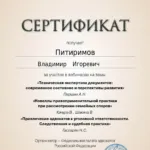 Сертификат - Питиримов Владимир Игоревич
