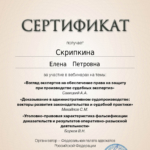 Сертификат 13.11.24. - Скрипкина Елена Петровна
