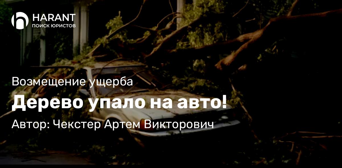Адвокат Чекстер Артем Викторович объясняет: Дерево упало на авто!