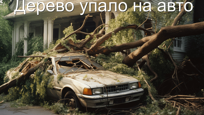 Адвокат Чекстер Артем Викторович объясняет: Дерево упало на авто!