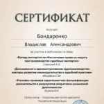 Сертификат - Бондаренко Владислав Александрович