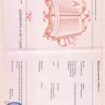 Диплом юрист компании - Бондарь Сергей Андреевич