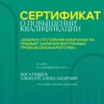 Анализ состояния компании на предмет наличия внутренних признаков банкротства-1 - Богатищев Алексей Александрович