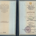 Диплом - Слепухин Сергей Николаевич