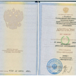 Диплом Щербаков Я. Е. - Щербаков Ярослав Евгеньевич