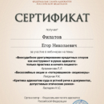 Сертификат 2 - Филатов Егор Николаевич