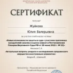 Сертификат 2 - Жуйкова Юлия Валерьевна
