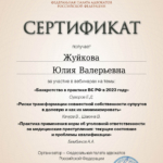 Сертификат 15.11.2023 - Жуйкова Юлия Валерьевна