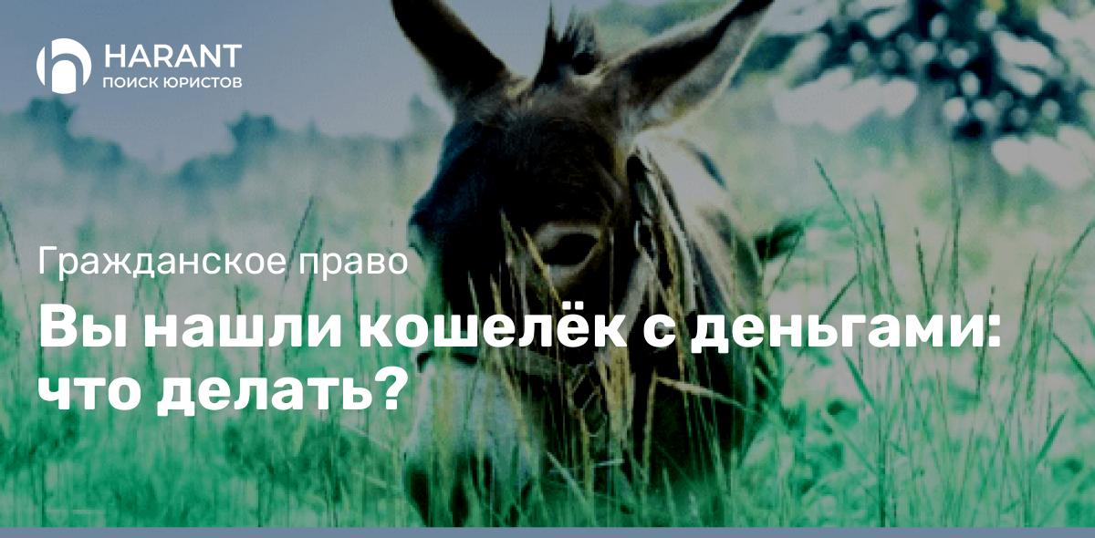 Вы нашли кошелёк с деньгами: что делать?