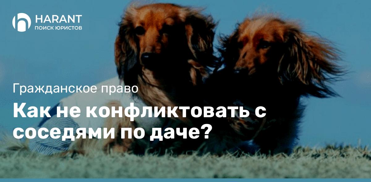 Как не конфликтовать с соседями по даче?