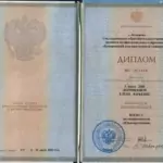 Диплом: Новокузнецкий филиал - Институт Кемеровского государственного университета, 2008 — Дорофеева Е.Ю.