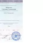 Диплом 2 - Моисеева Светлана Геннадьевна