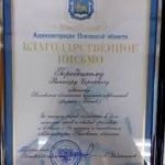 Благодарственное письмо - Городецкий Виктор Сергеевич