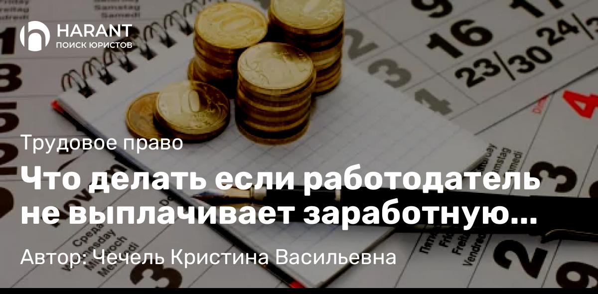 Юрист Чечель Кристина Васильевна объясняет: Что делать если работодатель не выплачивает заработную плату?
