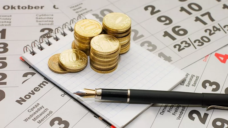 Юрист Чечель Кристина Васильевна объясняет: Что делать если работодатель не выплачивает заработную плату?