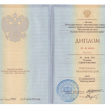 Диплом: Московский институт государственного управления и права, 2012 — Редькин С.О.