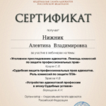 Сертификат от 01 августа 2023 - Нижник Алевтина Владимировна