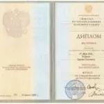 Диплом Лысенко Сергей - Лысенко Сергей Олегович