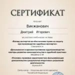 Cертификат - Викжанович Дмитрий Игоревич