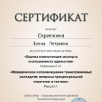 Сертификат 11.12.24 - Скрипкина Елена Петровна