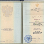 Диплом - Стенковая Анастасия Николаевна