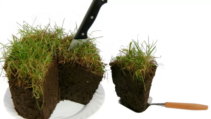 Юрист Карпунов Денис Евгеньевич объясняет: Юридическая помощь по земельным вопросам