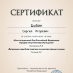 Сертификат 2 - Цыбин Сергей Игоревич