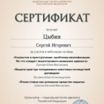 Сертификат 5 - Цыбин Сергей Игоревич