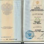 Диплом: Московский Открытый Социальный Университет, 2005 — Пешкова Е.Ю.