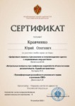 Диплом: Исключение доказательств, 2023 — Кравченко Ю.О.