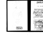 Диплом КОМ - Коротаева Ольга Михайловна