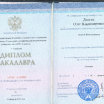 Диплом: Ульяновский государственный педагогический университет имени И.Н. Ульянова, 2019 — Долгов О.В.