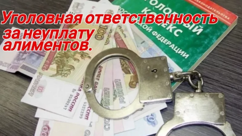Юрист Руденок Виктория Николаевна объясняет: Уголовная ответственность за злостное уклонение от уплаты алиментов на несовершеннолетних детей.