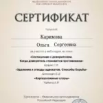 Сертфикат 04.07.2023 - Каримова Ольга Сергеевна