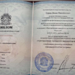 Диплом: Институт профессионального образования, 2023 — Сурин Д.М.