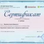 Сертификат - Меркулов Алексей Валерьевич