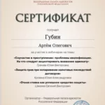 Сертификат 2 - Губин Артем Олегович