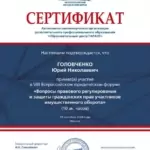 Сертификат Гарант 18.09.2024 Москва - Головченко Юрий Николаевич